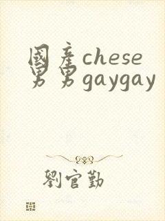 国产chese男男gaygay