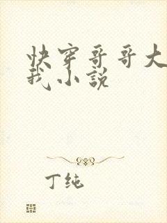 快穿哥哥大人嫁我小说