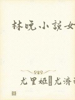 林晚小说女主封面