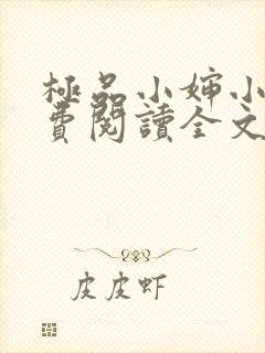 极品小婶小说免费阅读全文封面