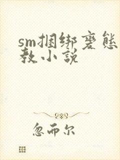 sm捆绑变态调教小说