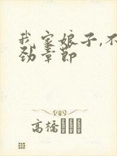 我家娘子,不对劲章节封面