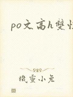 po文高h双性