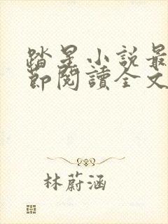 踏星小说最新章节阅读全文封面