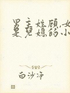 男主姓顾,女主是儿媳的小说封面