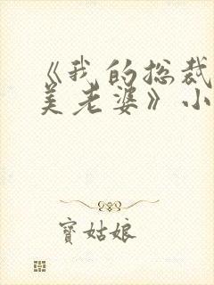 《我的总裁白富美老婆》小说