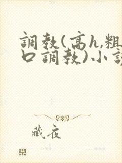 调教(高h,粗口调教)小说封面