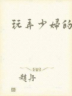 玩弄少妇的小说