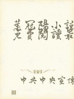 叶冠阳小说全文免费阅读最新章节