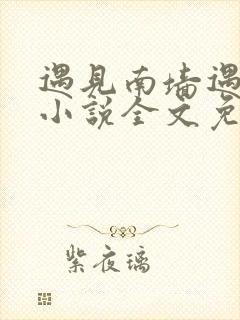 遇见南墙遇见你小说全文免费阅读