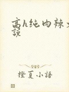 高h纯肉辣文小说封面