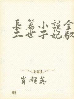 长篇小说金牌特工世子妃驭夫有道