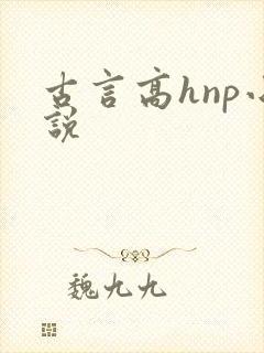 古言高hnp小说封面