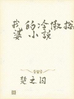 我的冷傲总裁老婆 小说