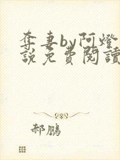 夺妻by阿灯小说免费阅读笔趣阁