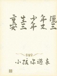 重生少年猎美赵安三年又三年