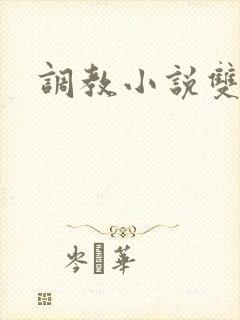 调教小说双性人封面