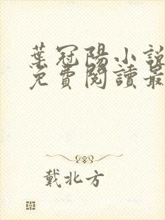 叶冠阳小说全文免费阅读最新章节