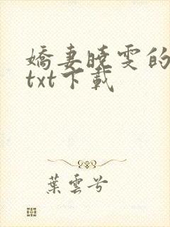 娇妻晓雯的小说txt下载