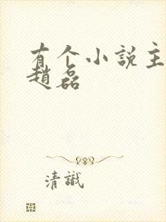 有个小说主角叫赵磊