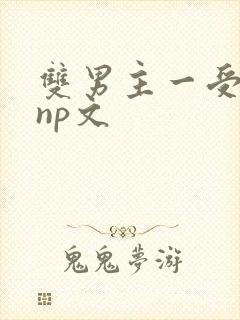 双男主一受多攻np文