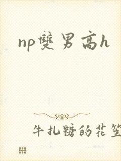 np双男高h封面