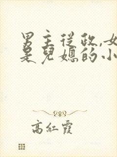 男主从政,女主是儿媳的小说沈依然秦