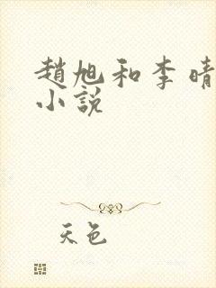 赵旭和李晴晴的小说