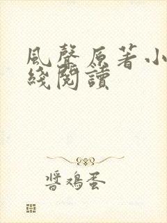 风声原著小说在线阅读