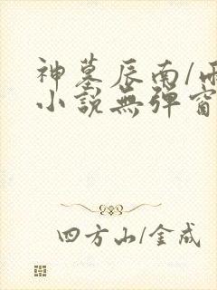 神墓辰南/雨馨小说无弹窗全文免费阅读