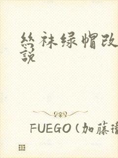 丝袜绿帽改编小说