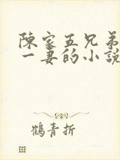 陈家五兄弟共娶一妻的小说叫什么