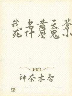 我名黄天苍天已死什么鬼小说笔趣阁无删减封面