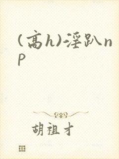 (高h)淫趴np