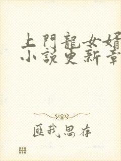 上门龙女婿叶辰小说更新章节