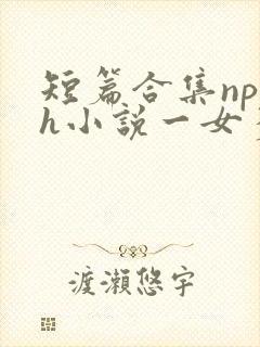短篇合集np高h小说一女多男封面