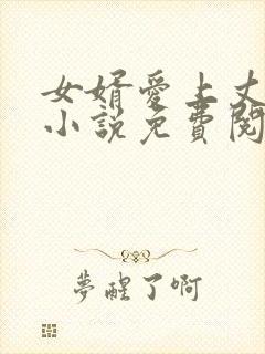 女婿爱上丈母娘小说免费阅读封面