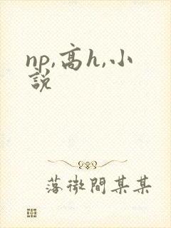 np,高h,小说封面
