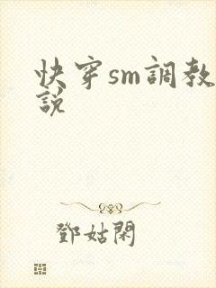 快穿sm调教小说