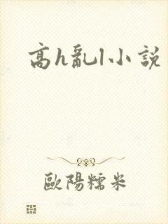 高h乱l小说