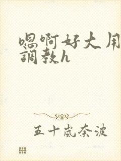 嗯啊好大用力吸调教h封面