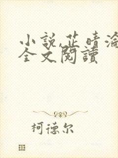 小说,芷晴沦陷全文阅读