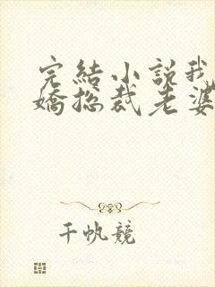 完结小说我的傲娇总裁老婆