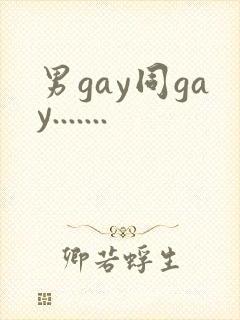 男gay同gay.......