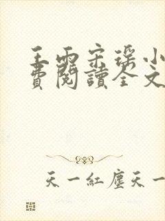 王雨宋瑶小说免费阅读全文最新章节