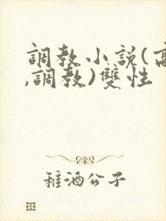 调教小说(高h,调教)双性