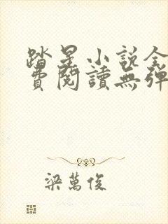 踏星小说全文免费阅读无弹窗