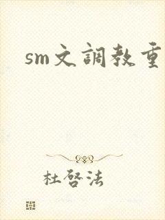 sm文调教重口