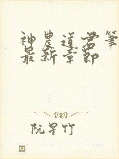 神农道君笔趣阁最新章节