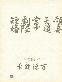 短剧当天领证闪婚陆少追妻忙全集免费观看